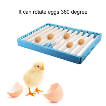 100% чисто нов пластмасов 360-градусова напълно автоматичен инкубационният тава за яйца ролкова тип