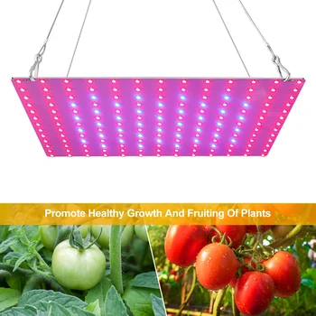 Led лампа за растенията, заполняющий светлина, quantum борда на пълна гама, лампа за отглеждане на растения, оранжерии, за отглеждане на разсад, зеленчуци