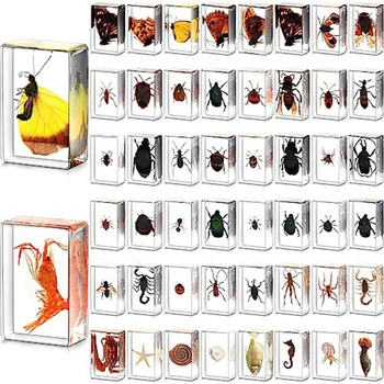 Колекция от 50 броя, различни модели, запазени живи ladybugs за деца, научна развитие играчка